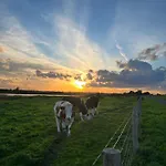 Citta Romana 4* Hellevoetsluis