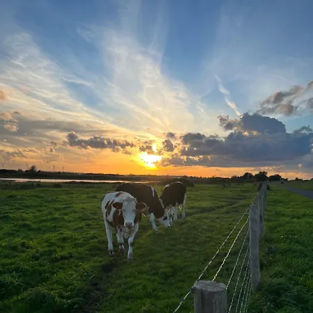 Citta Romana 4* Hellevoetsluis