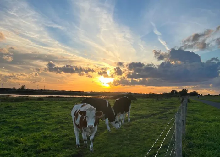 Citta Romana 4* Hellevoetsluis