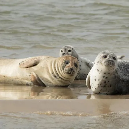 Citta Romana Prázdninový areál Hellevoetsluis