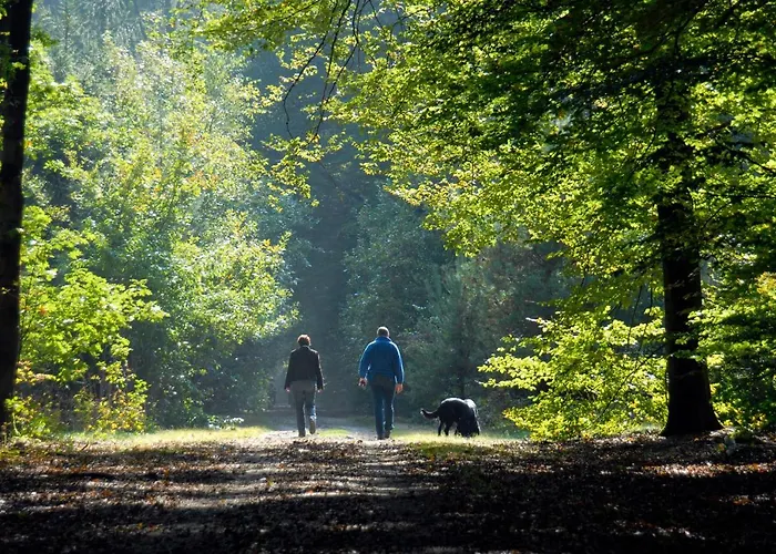 チッタ ロマーナ ホリデーパーク